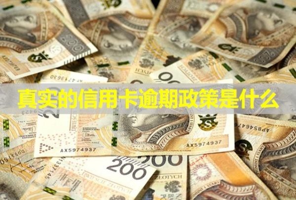 真实的信用卡逾期政策是什么
