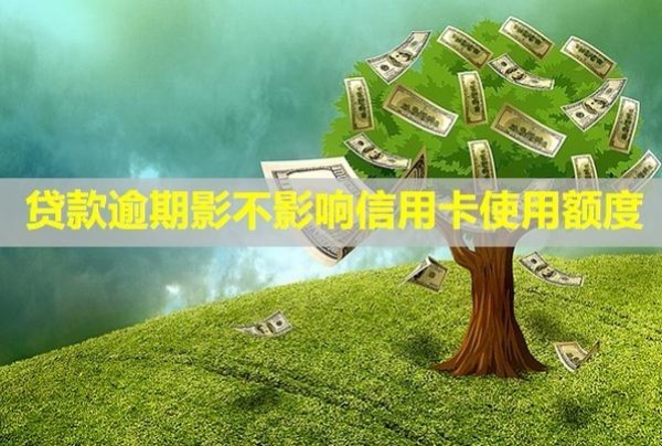 贷款逾期影不影响信用卡使用额度