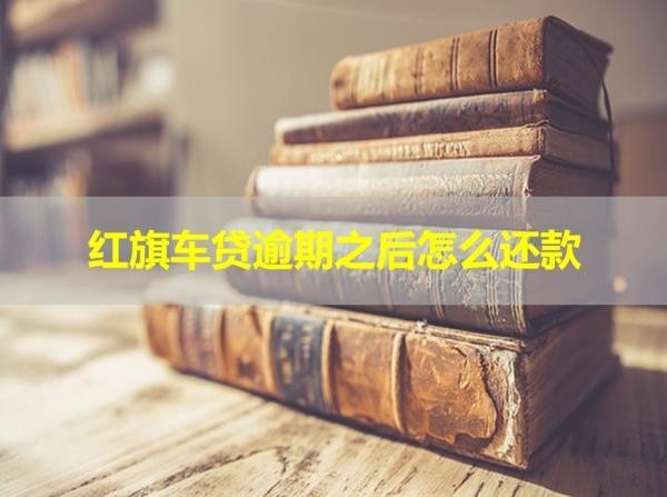 红旗车贷逾期之后怎么还款