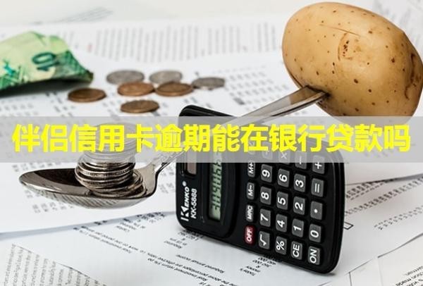 伴侣信用卡逾期能在银行贷款吗