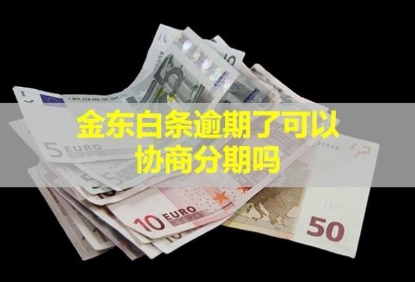 京东白条逾期了可以协商分期吗？要一次还清才能用吗？