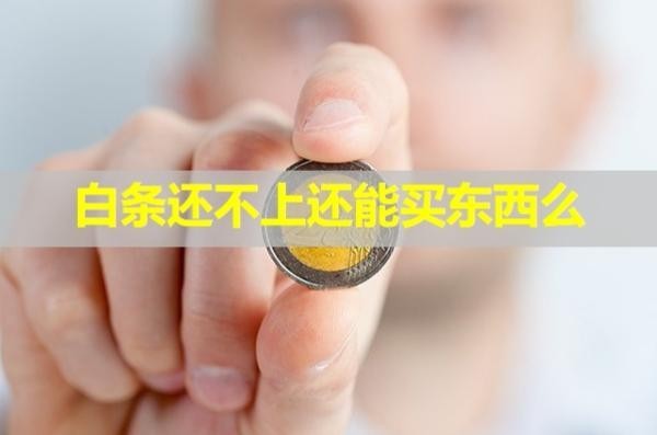 白条还不上还能买东西么