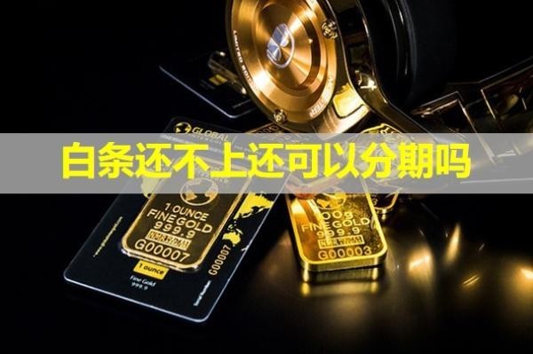 白条还不上还可以分期吗