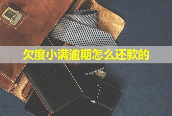 欠度小满逾期怎么还款的