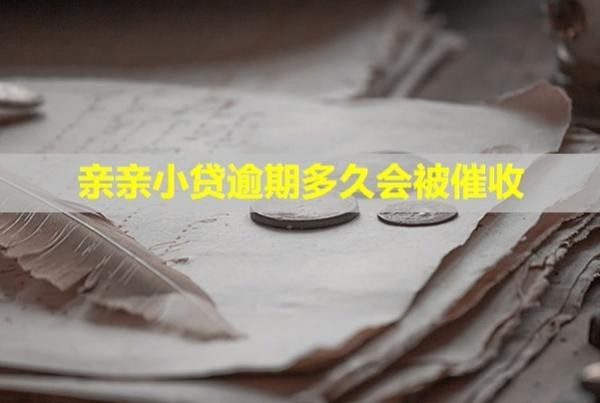 亲亲小贷逾期多久会被催收