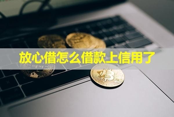 放心借怎么借款上信用了