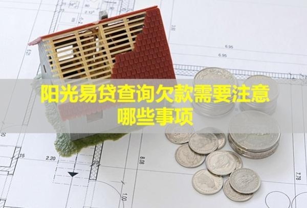 阳光易贷查询欠款需要注意哪些事项