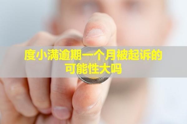 度小满逾期一个月被起诉的可能性