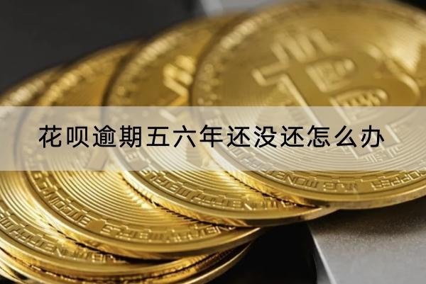 花呗逾期五六年还没还怎么办