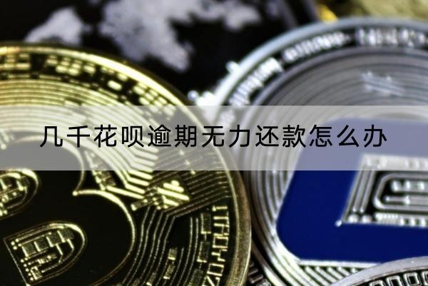 几千花呗逾期无力还款怎么办