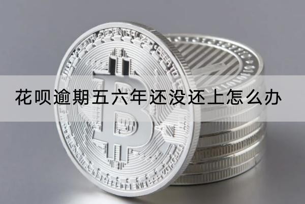 花呗逾期五六年还没还上怎么办