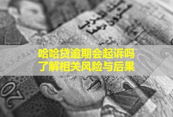 哈哈贷逾期会起诉吗？了解相关风险与后果