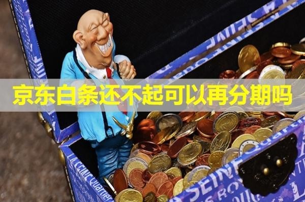 京东白条还不起可以再分期吗