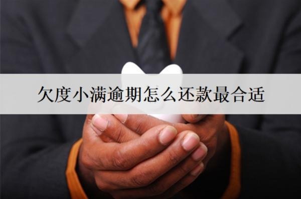 欠度小满逾期怎么还款最合适