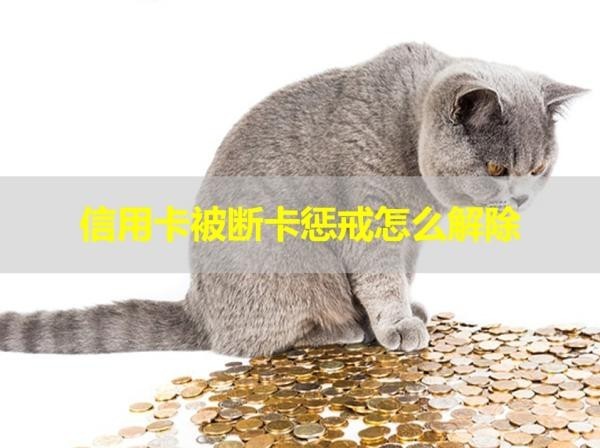 信用卡被断卡惩戒怎么解除