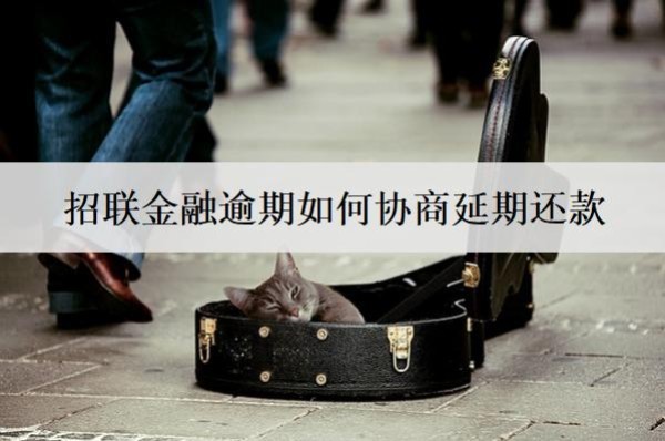 招联金融逾期如何协商延期还款