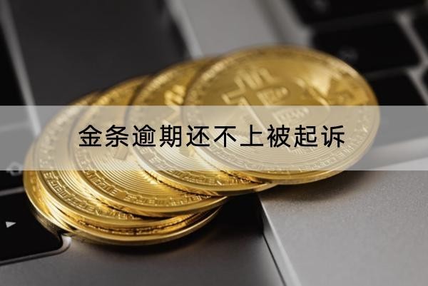 金条逾期还不上被起诉