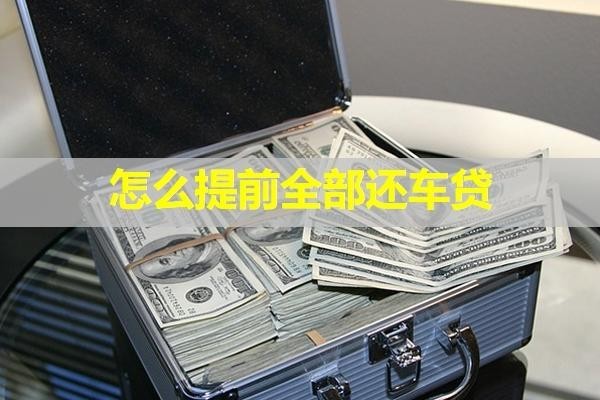 怎么提前全部还车贷