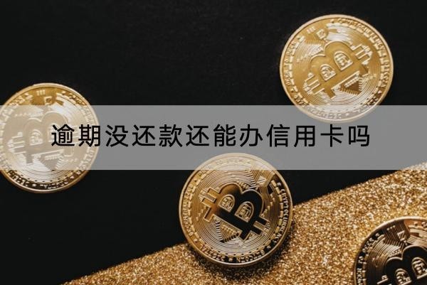 逾期没还款还能办信用卡吗