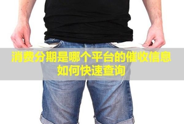 消费分期是哪个平台的催收信息？如何快速查询？