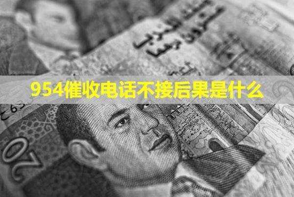 954催收电话不接后果是什么
