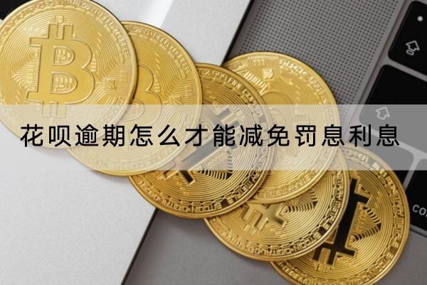 花呗逾期怎么才能减免罚息利息