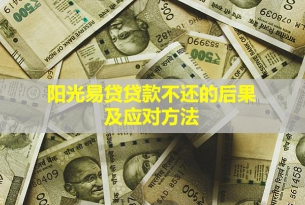 阳光易贷贷款不还的后果及应对方法
