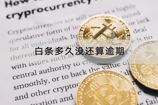 白条多久没还算逾期