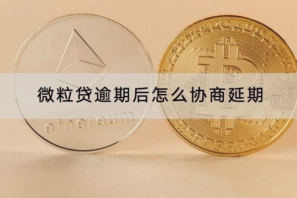 微粒贷逾期后怎么协商延期