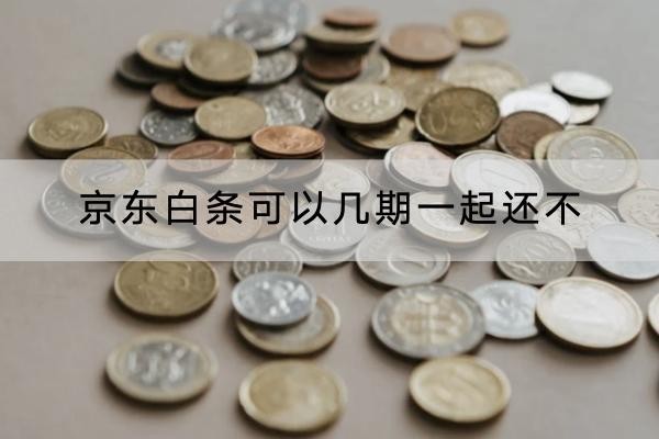 京东白条可以几期一起还不