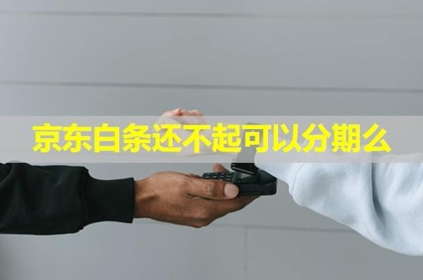 京东白条还不起可以分期么