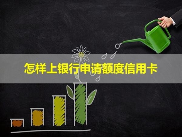 怎样上银行申请额度信用卡