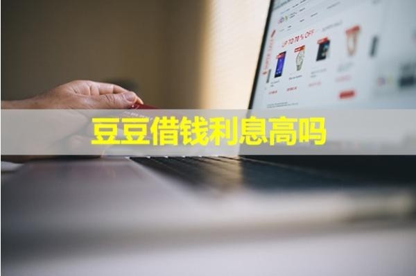 豆豆借钱利息高吗