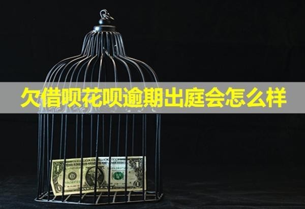 欠借呗花呗逾期出庭会怎么样