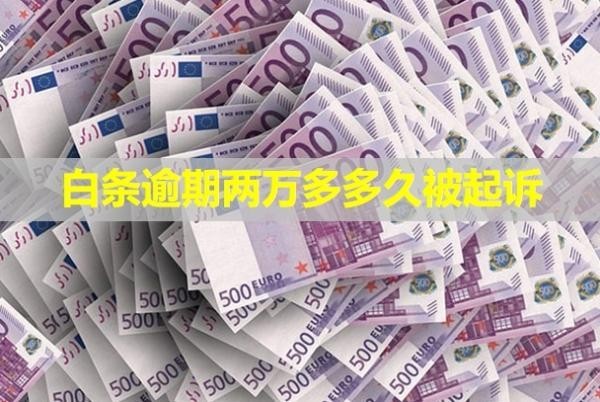 白条逾期两万多多久被起诉