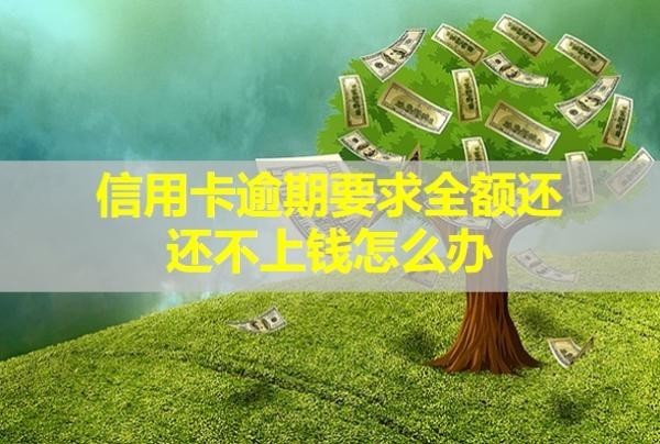 信用卡逾期要求全额还还不上