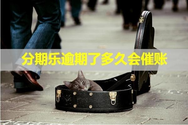 分期乐逾期了多久会催账