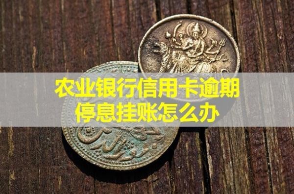 农业银行信用卡逾期停息挂账