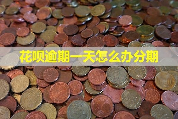 花呗逾期一天怎么办分期