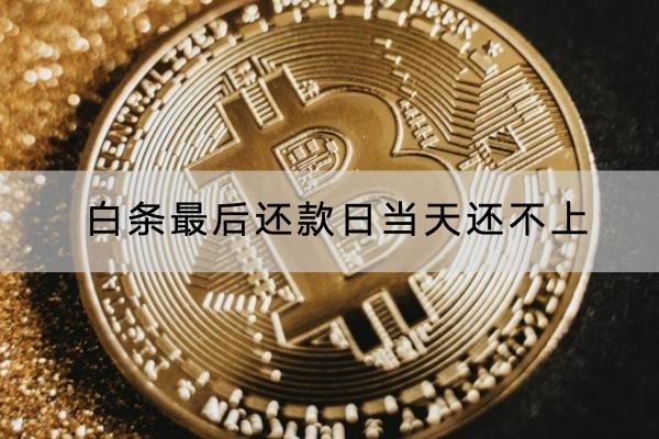 白条最后还款日当天还不上