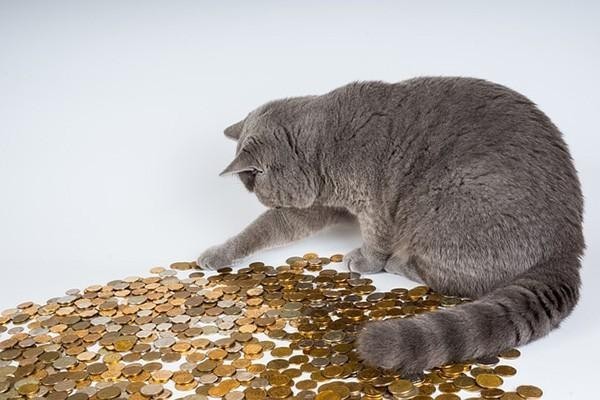 欠拍拍贷一万3不还两年后