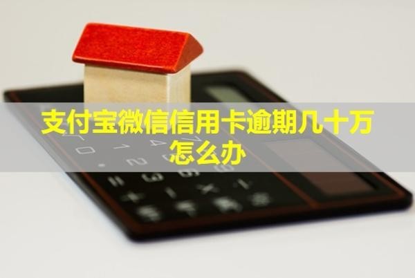 支付宝微信信用卡逾期几十万