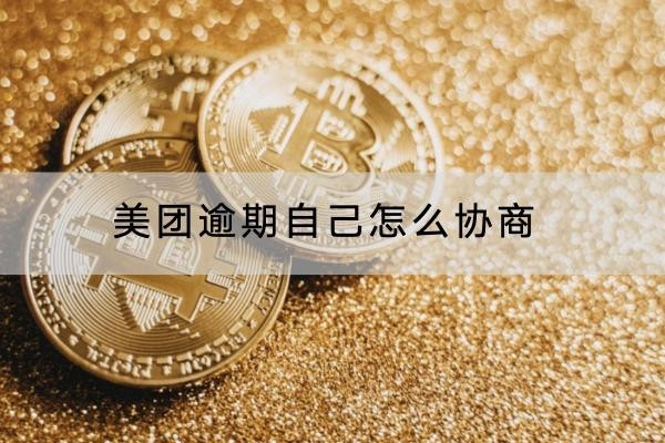 美团逾期自己怎么协商