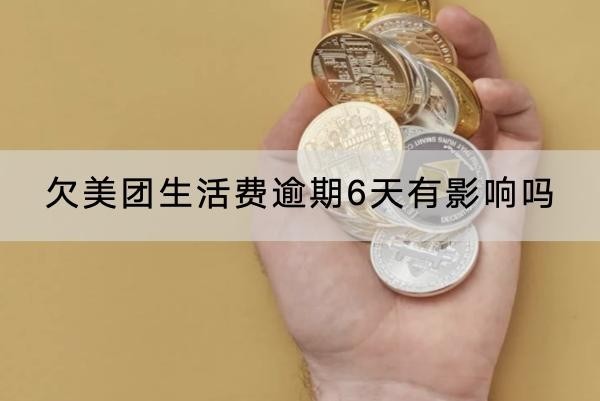 欠美团生活费逾期6天有影响吗