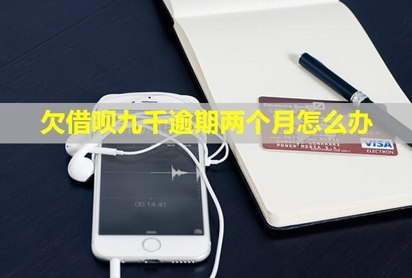 欠借呗九千逾期两个月怎么办