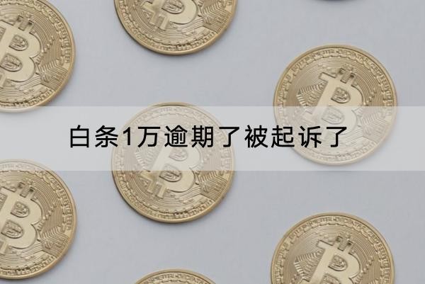白条1万逾期了被起诉了