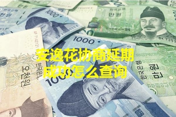 安逸花协商延期成功怎么查询