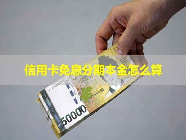 信用卡免息分期本金怎么算