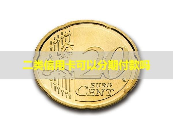二类信用卡可以分期付款吗