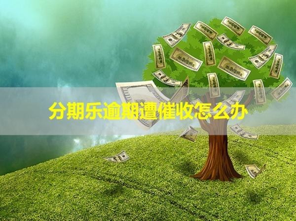 分期乐逾期遭催收怎么办